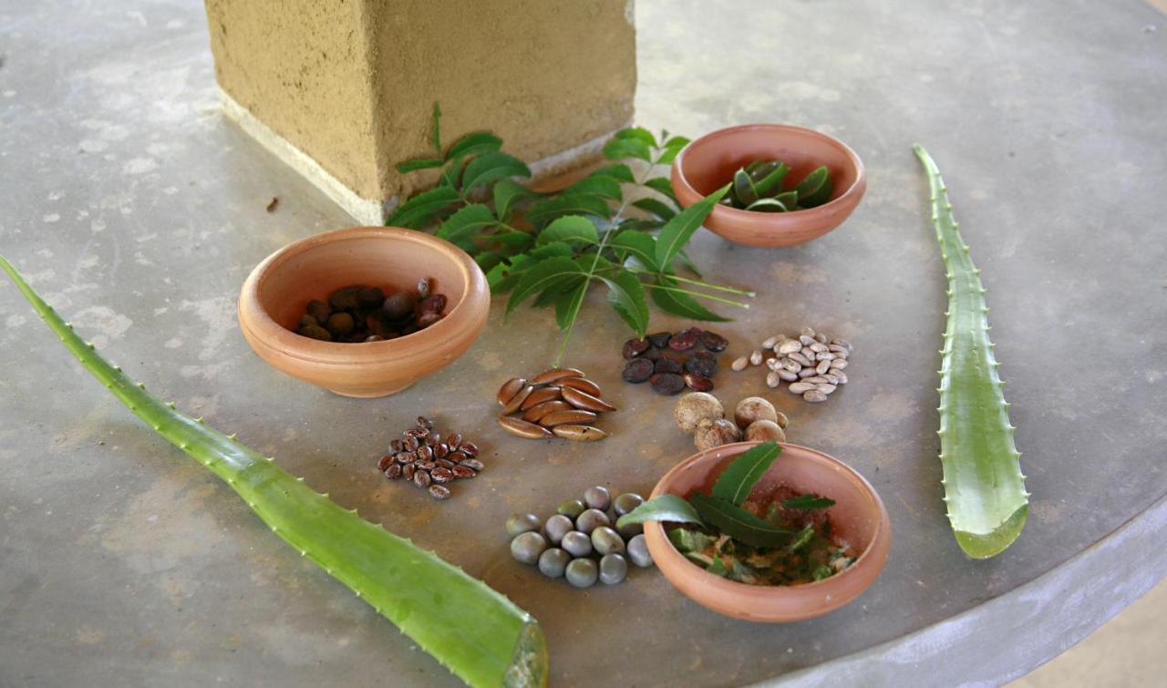 Nature Lanka Ayurveda Resort - All Meals And Ayurveda Treatments With Yoga Tangalle Bagian luar foto