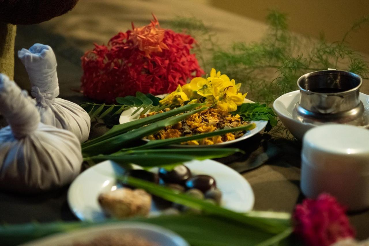 Nature Lanka Ayurveda Resort - All Meals And Ayurveda Treatments With Yoga Tangalle Bagian luar foto