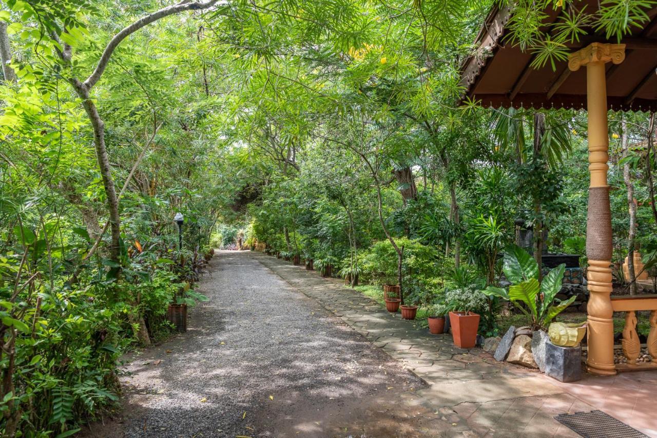 Nature Lanka Ayurveda Resort - All Meals And Ayurveda Treatments With Yoga Tangalle Bagian luar foto