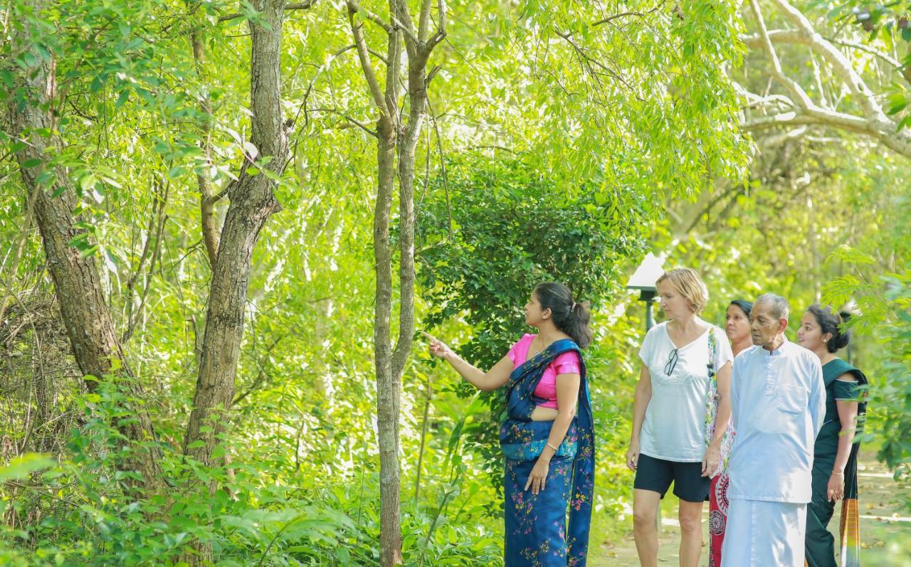 Nature Lanka Ayurveda Resort - All Meals And Ayurveda Treatments With Yoga Tangalle Bagian luar foto