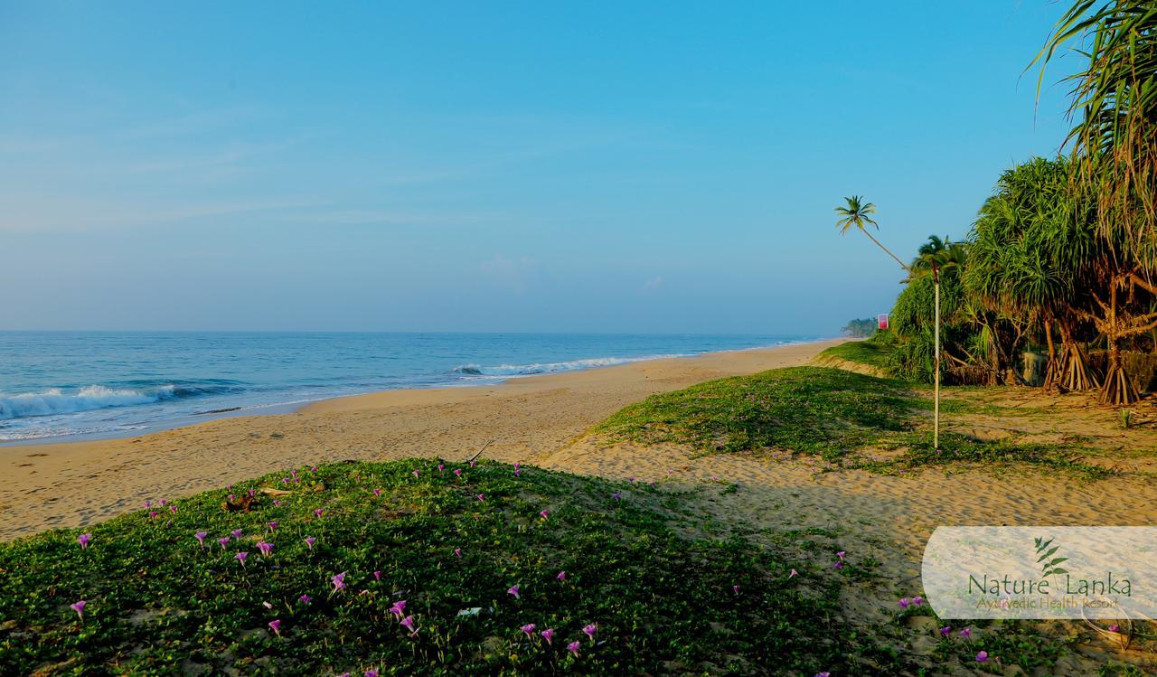 Nature Lanka Ayurveda Resort - All Meals And Ayurveda Treatments With Yoga Tangalle Bagian luar foto