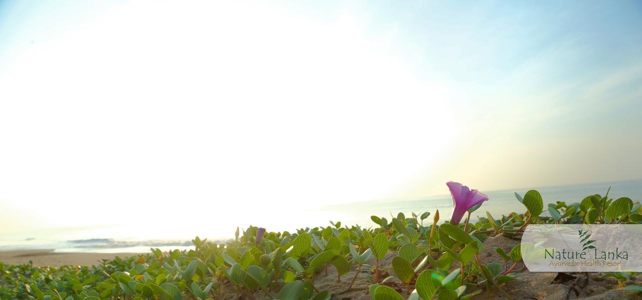 Nature Lanka Ayurveda Resort - All Meals And Ayurveda Treatments With Yoga Tangalle Bagian luar foto