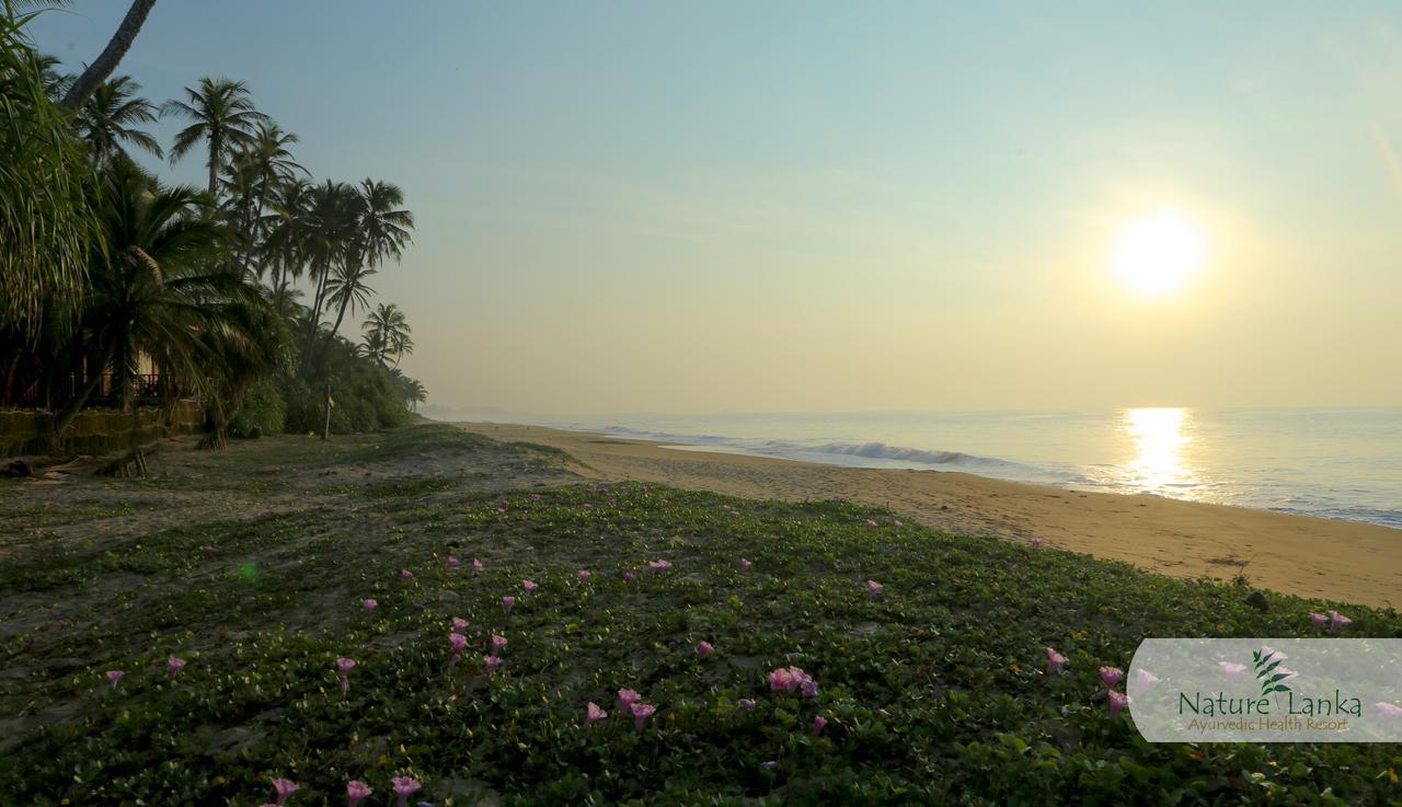 Nature Lanka Ayurveda Resort - All Meals And Ayurveda Treatments With Yoga Tangalle Bagian luar foto