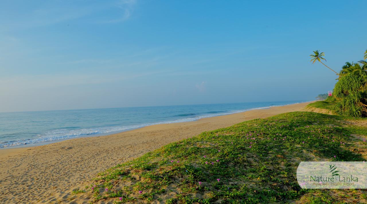 Nature Lanka Ayurveda Resort - All Meals And Ayurveda Treatments With Yoga Tangalle Bagian luar foto
